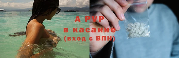 гашик Арсеньев