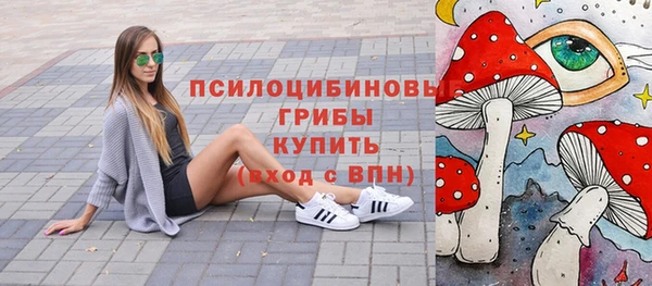 гашик Арсеньев