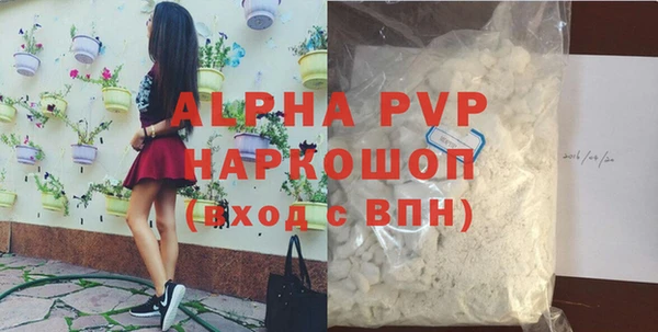 гашик Арсеньев