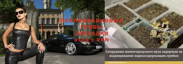 гашик Арсеньев